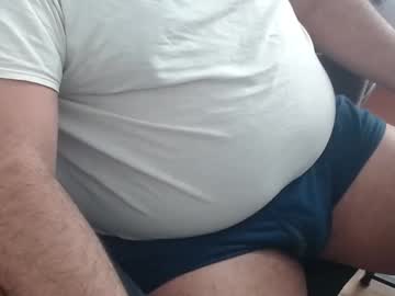 gato27cam