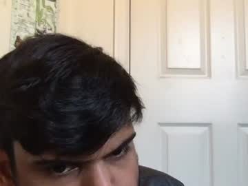 sundoog